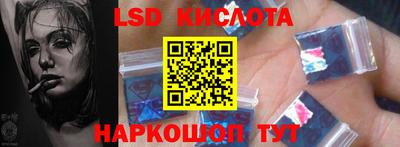 спайс Кингисепп