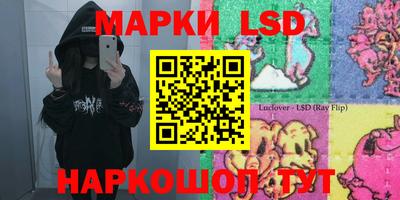 спайс Кингисепп