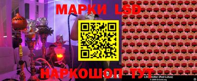 спайс Кингисепп