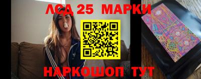 спайс Кингисепп