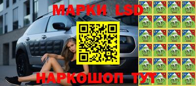 спайс Кингисепп