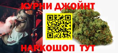 спайс Кингисепп