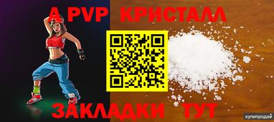 спайс Кингисепп