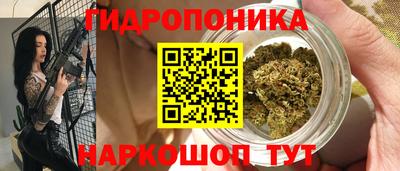 спайс Кингисепп