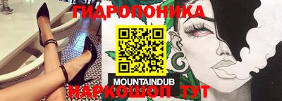 спайс Кингисепп