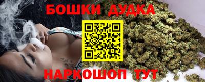спайс Кингисепп