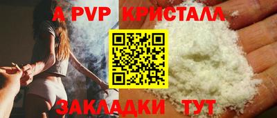 спайс Кингисепп