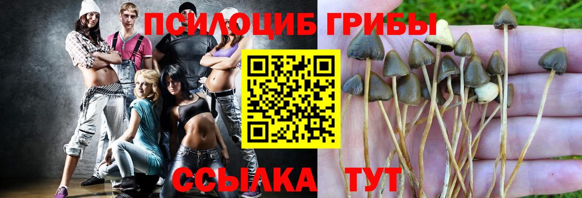 Галлюциногенные грибы Magic Shrooms  Вход с VPN  Лесной 